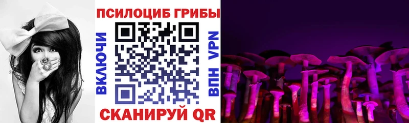 где купить наркотик  Малая Вишера  Галлюциногенные грибы мицелий 